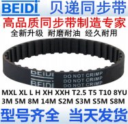 女士时尚细款腰带装饰连